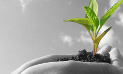 aboutus-5